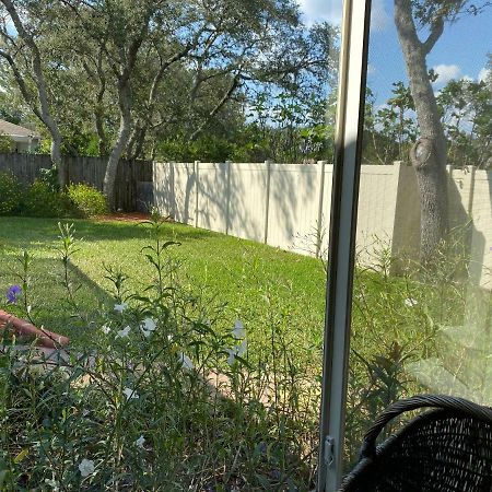 Modern Pool Home Spring Hill Extérieur photo